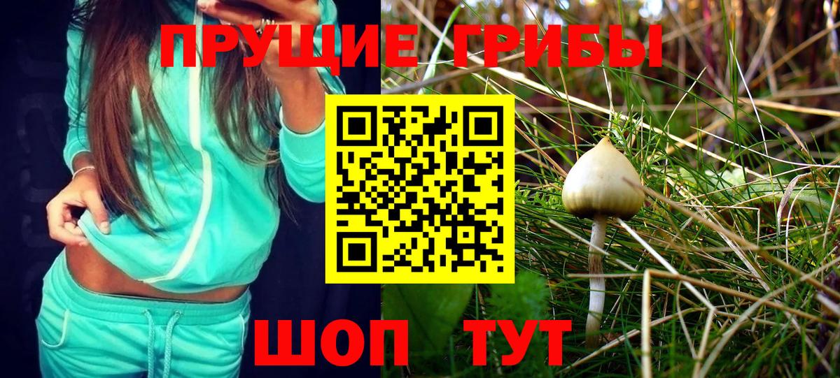 Галлюциногенные грибы прущие грибы  Галлюциногенные грибы Magic Shrooms  Камышин  Вход с VPN 