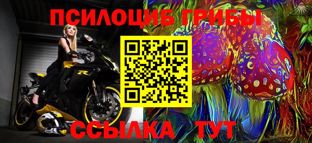 Галлюциногенные грибы мицелий Камышин